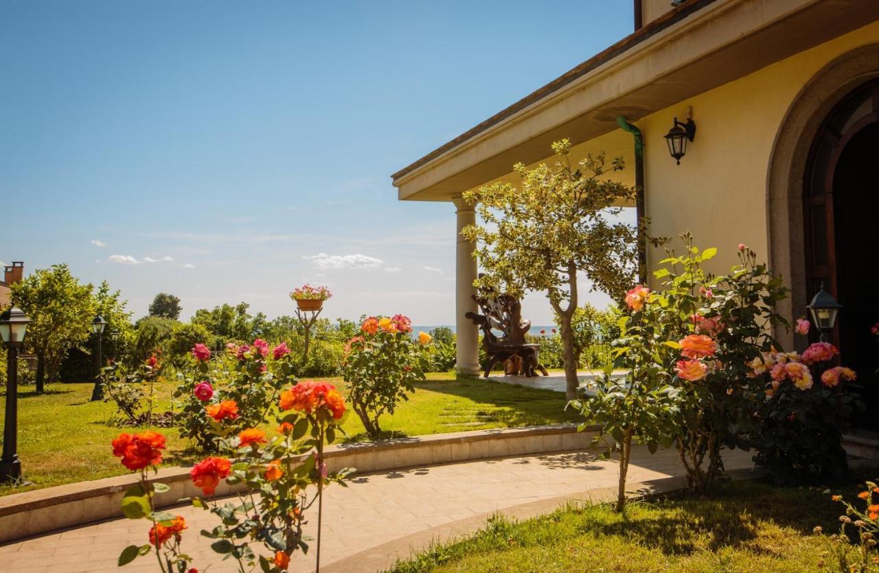 B&B Il Belvedere ヴィテルボ エクステリア 写真